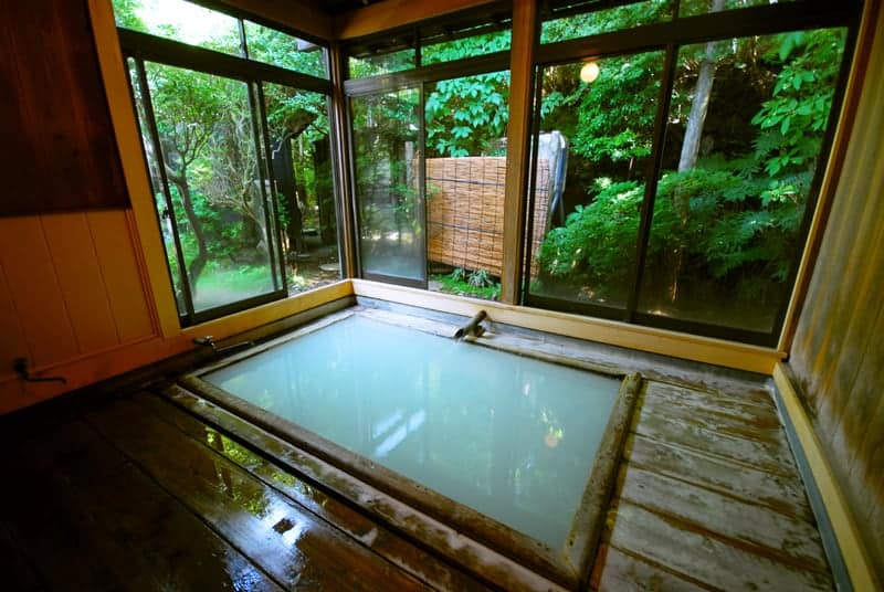 hakone ginyu