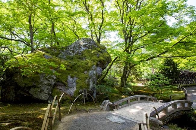 Lion-megalith-Jokoin-temple-garden