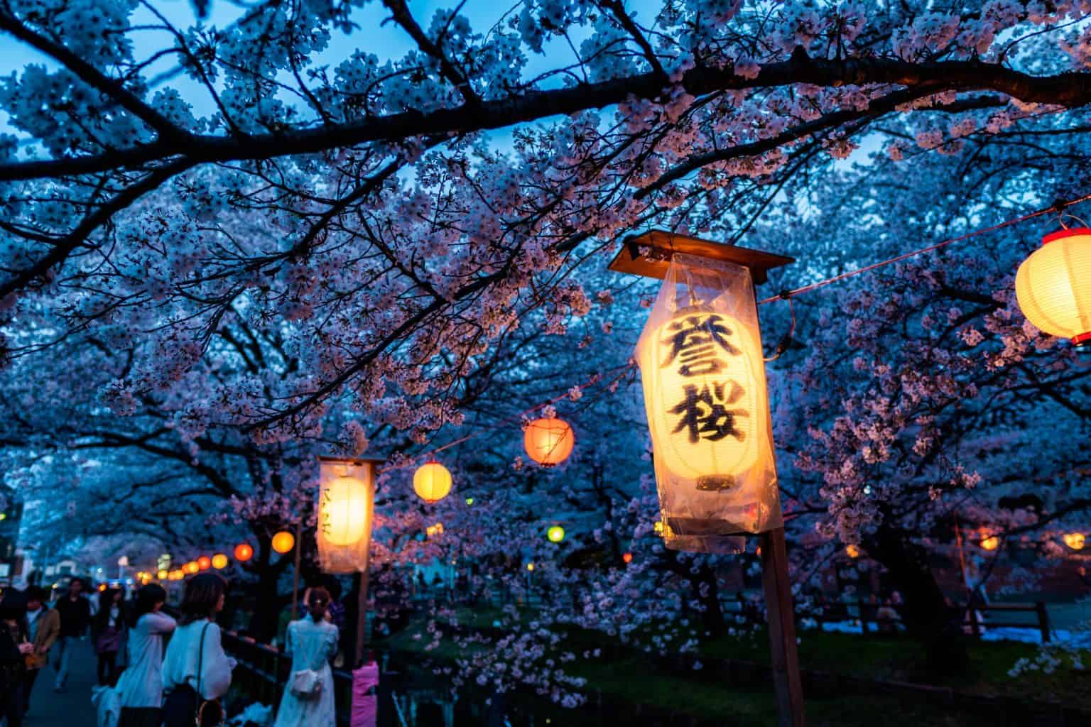 When Is The Cherry Blossom Season In Tokyo 2024? Japan Truly