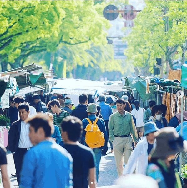 tourist spots kochi