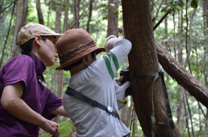 kochi japan tourist places