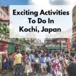 things to do in kochi japan