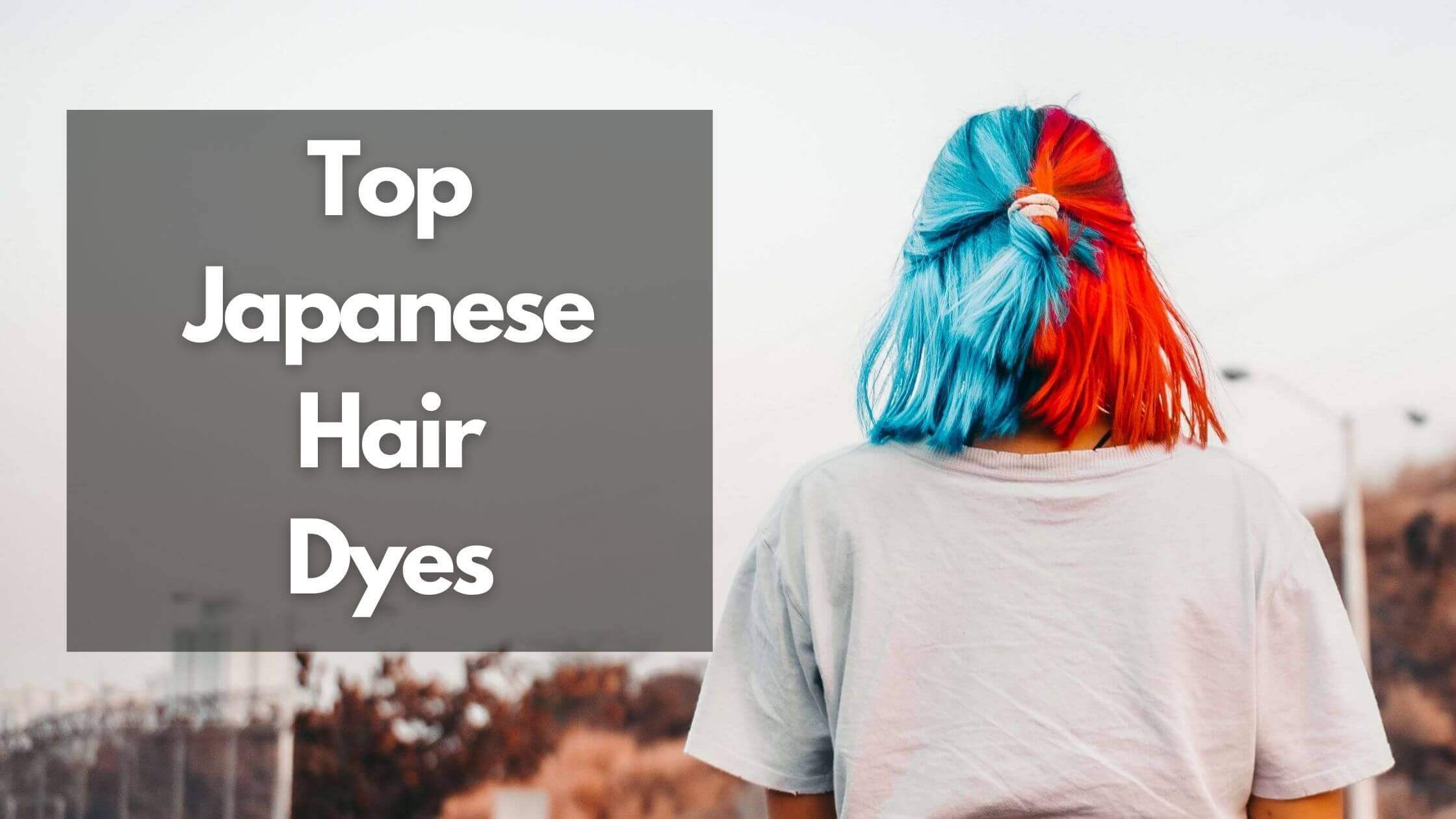 10 Best Japanese Hair Dyes 2022 | Dyes That Also Nourish Your Hair! - Japan  Truly