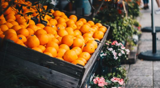 why are japanese fruits so expensive