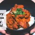 mejores marcas de curry japonés