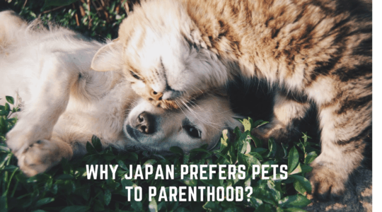Why Japan Prefers Pets to Parenthood?