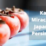 Kaki: 神奇的日本柿子