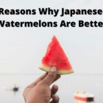 Reasons Why Japanese Watermelons Are Better