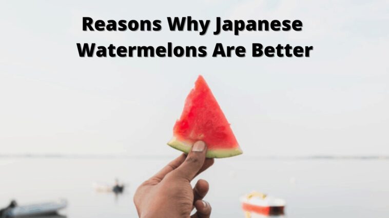 Razones por las que las sandías japonesas son mejores