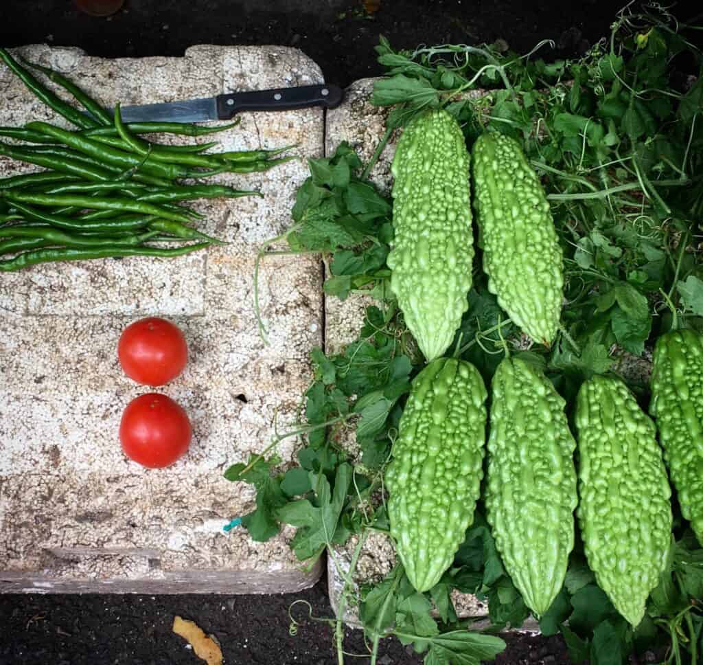 Okinawa vegetable