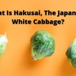 什么是白菜，日本的白菜？