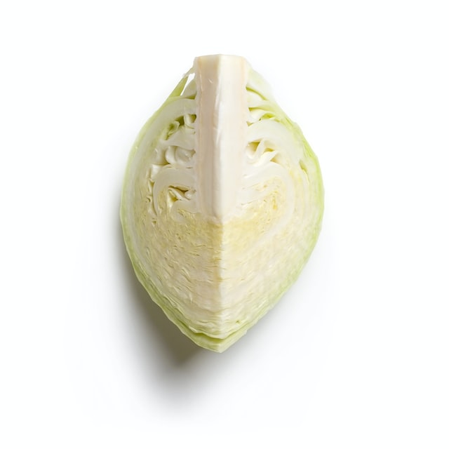 Napa cabbage
