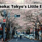 Jiyugaoka: La pequeña Europa de Tokio