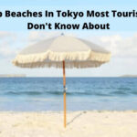 大多數遊客不知道的東京頂級海灘