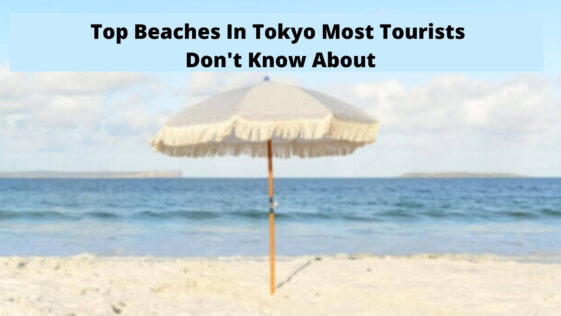 Top Beaches In Tokyo Most Tourists Don't Know About