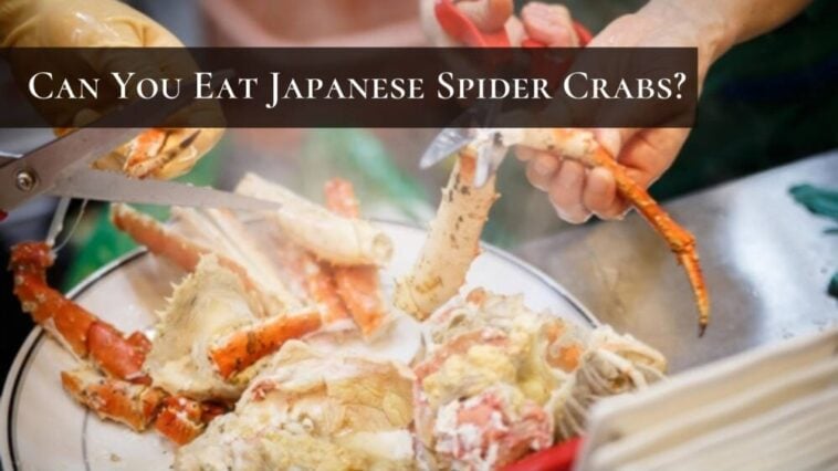 日本のクモガニは食べられますか？