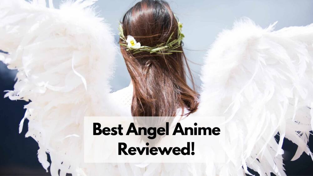 Download Girl Anime Angel Free HD Image HQ PNG Image  FreePNGImg