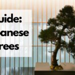 lista de árboles japoneses
