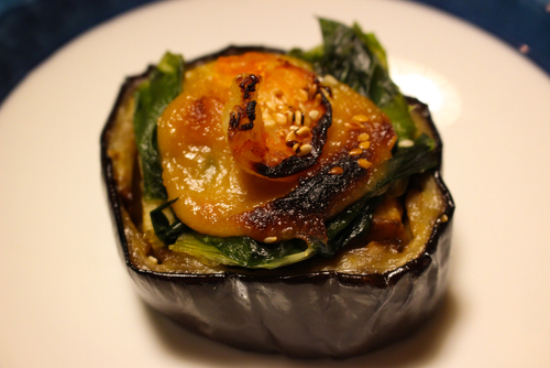 Nasu-vegetable-from-japan