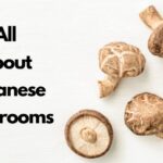 日本的蘑菇清单