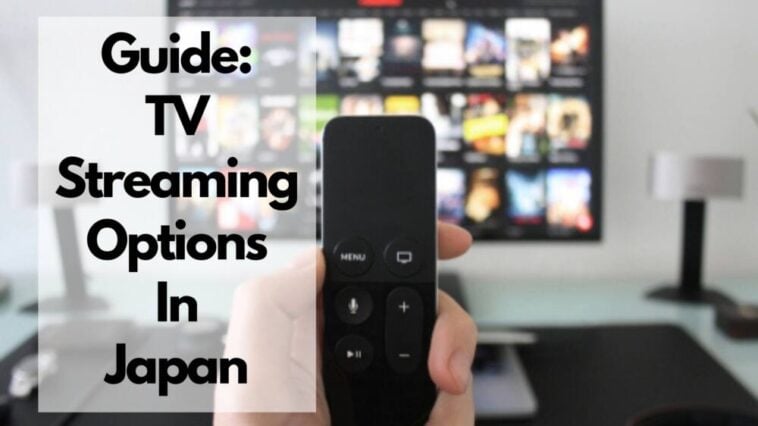 日本でのテレビ視聴の選択肢