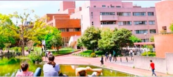 MOST AFFORDABLE UNIVERSITIES IN JAPAN FOR INTERNATIONAL STUDENTS visual data 6