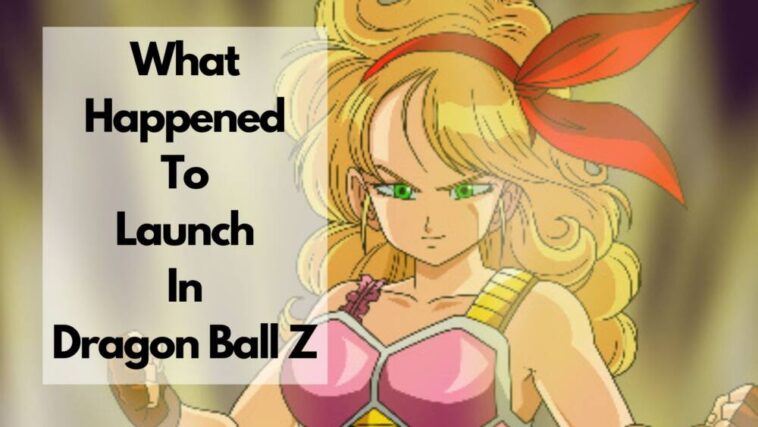 what happned to launch in dragon ball z