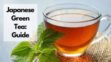 el mejor té verde japonés