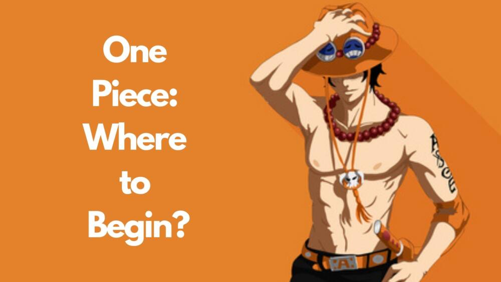 One Piece Where To Start - Japan Truly