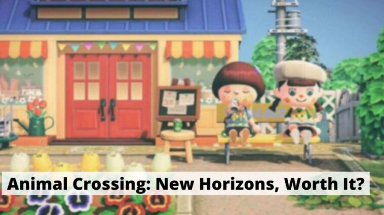Animal Crossing New Horizons, Worth It (1)