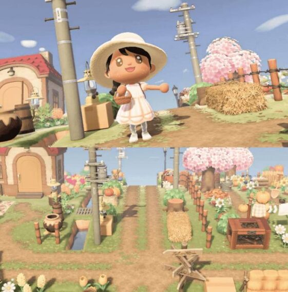 Is Animal Crossing New Horizons Worth It? Japan Truly