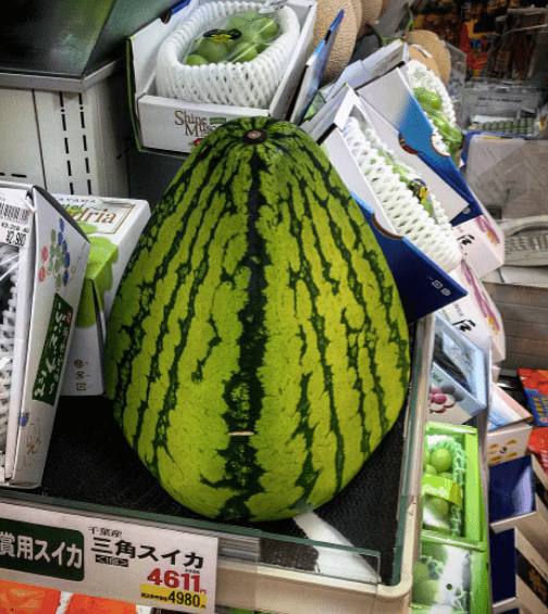 日本的西瓜形状
