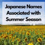 Japanese Names Associated with Summer Season