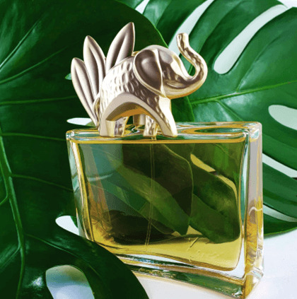 10 Top Japanese Perfume Brands #1 Revealed – Japan Truly