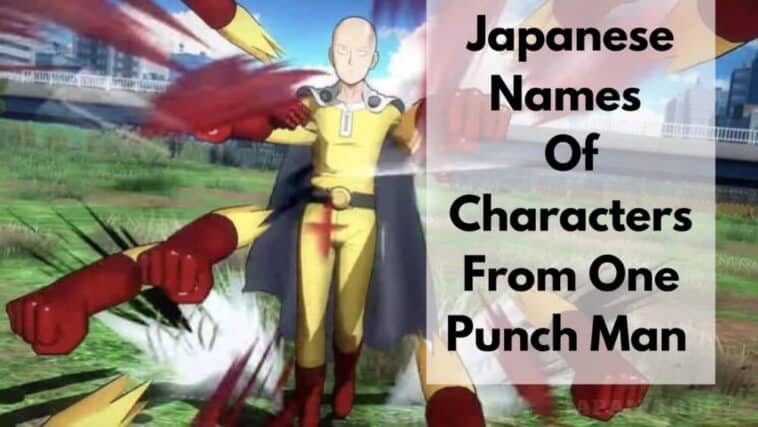 japanese names of characters from one punch man