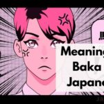 ¿Qué significa Baka en japonés?