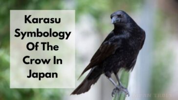 Karasu Symbology Of The Crow In Japan