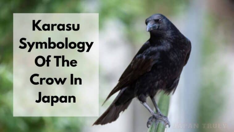 Karasu Simbología del cuervo en Japón
