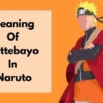 SIGNIFICADO DE DATTEBAYO EN NARUTO