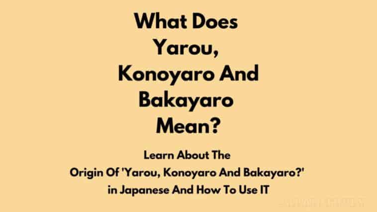 What Does Yarou, Konoyaro And Bakayaro Mean?