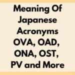 衡量OVA的标准