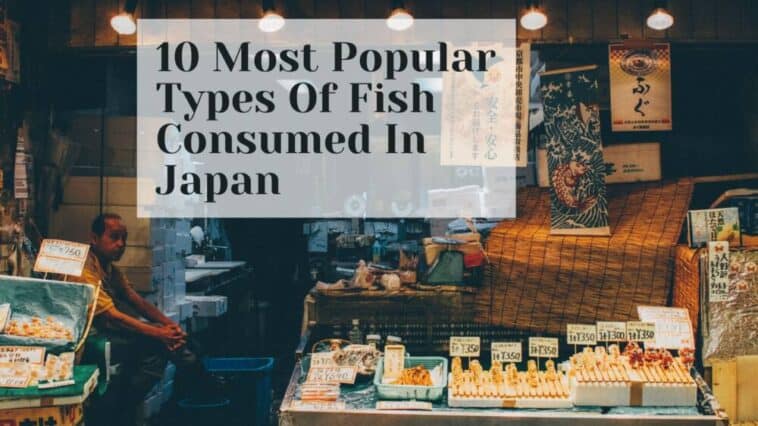 10 Most Popular Types Of Fish Consumed In Japan