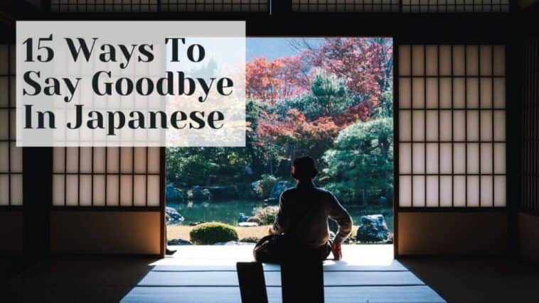 15 formas de decir adiós en japonés