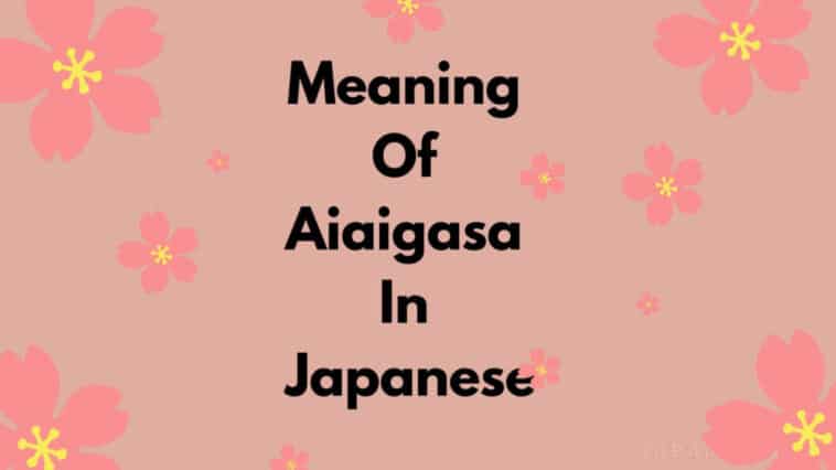Meaning Of Aiaigasa In Japanese