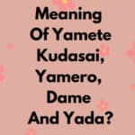 Meaning Of Yamete Kudasai, Yamero, Dame And Yada