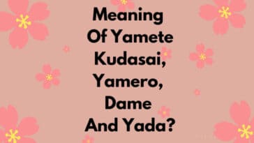 Meaning Of Yamete Kudasai, Yamero, Dame And Yada