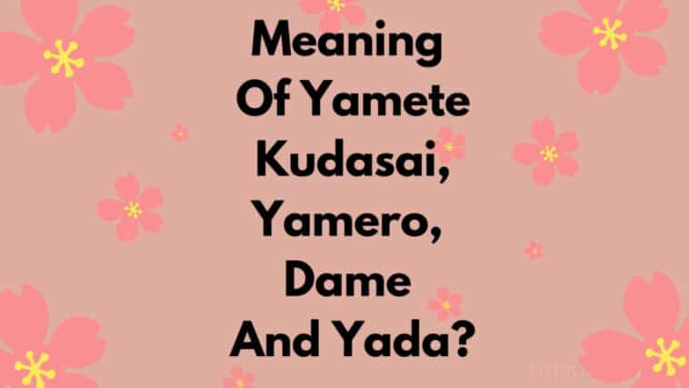 Significado de Yamete Kudasai, Yamero, Dame y Yada