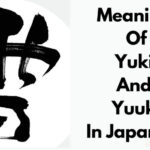 Yuki和Yuuki的含义