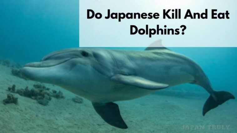 日本人はイルカを殺して食べている