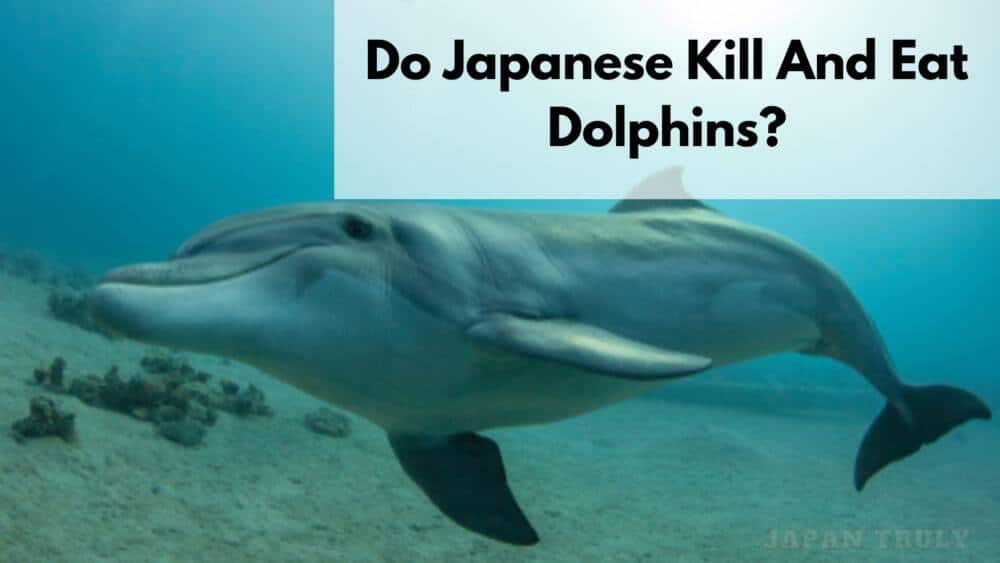 do japanese eat dolphins